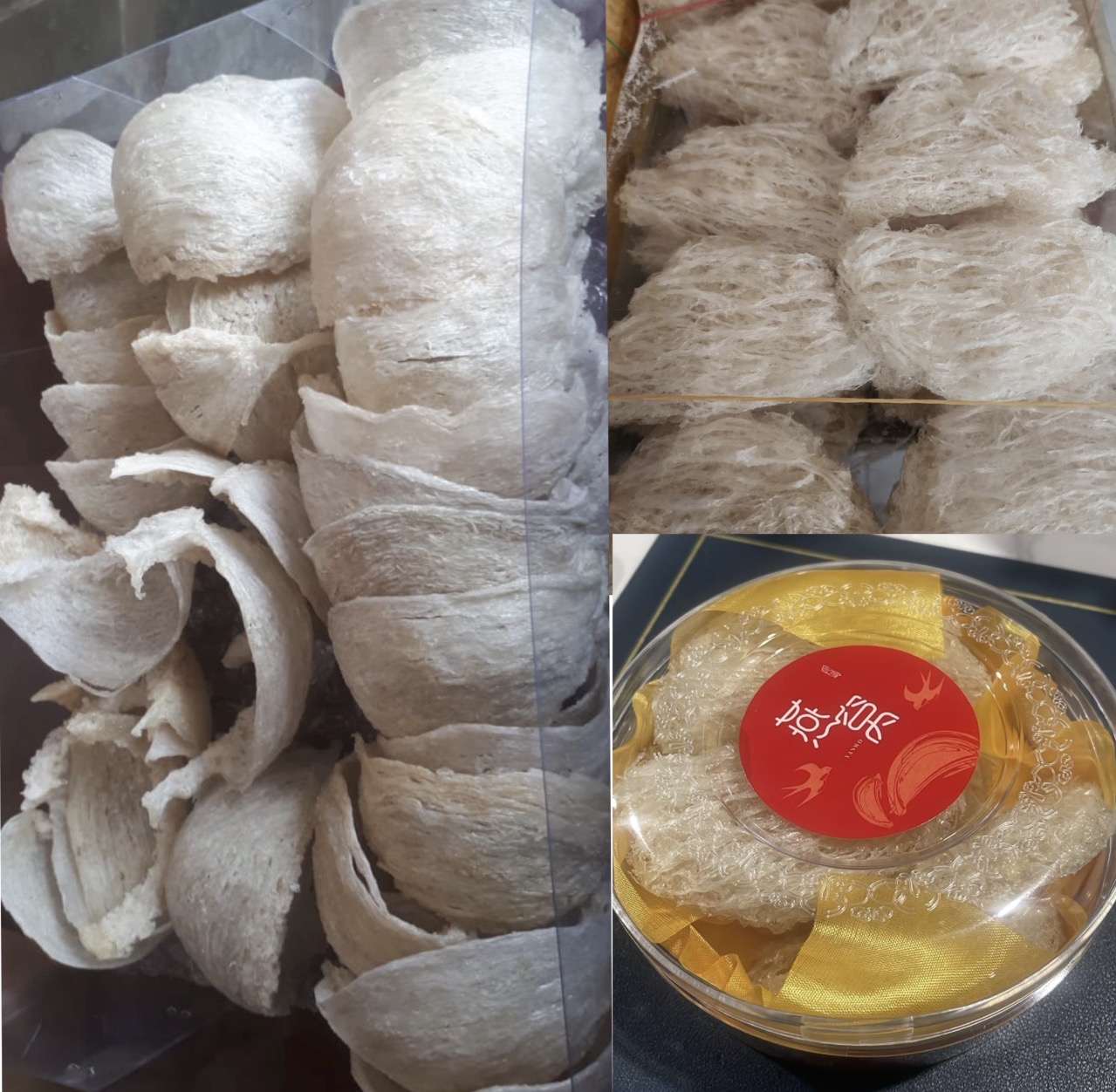 Foto produk bird nest