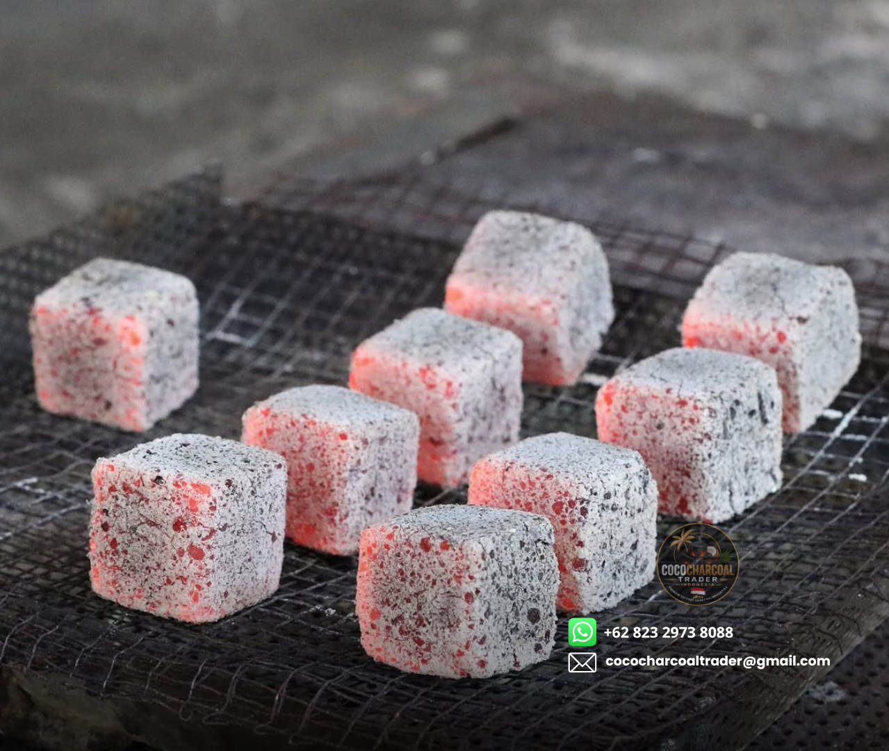 Foto produk Premium Shisha Charcoal
