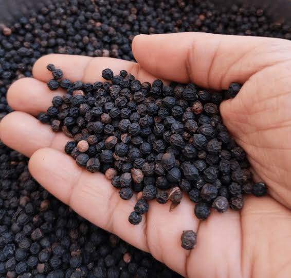 Foto produk Blackpepper 500 gl/550 gl