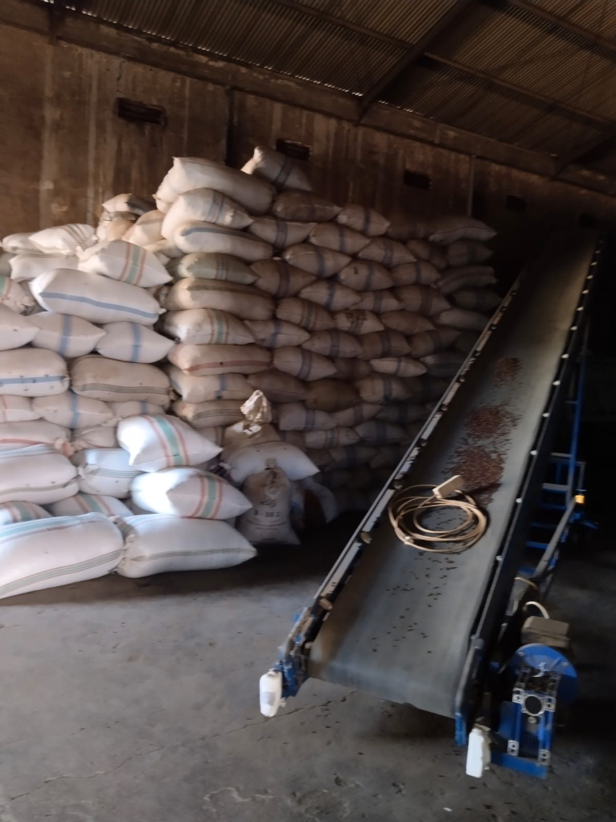 Tempat produksi Blackpepper 500 gl/550 gl dari PT Kartika Lestari Jaya