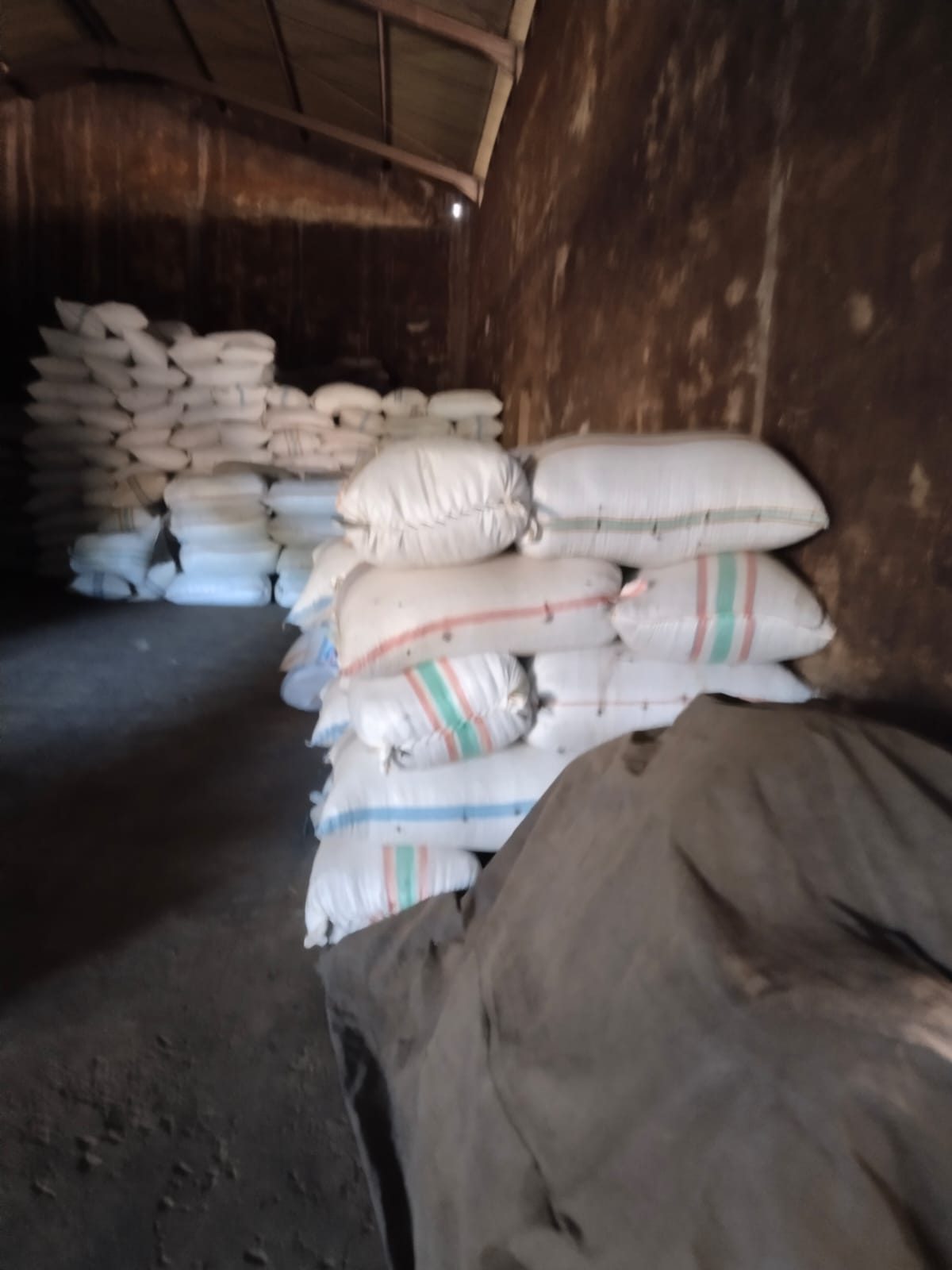 Tempat produksi Cardamom / Kapulaga dari PT Kartika Lestari Jaya